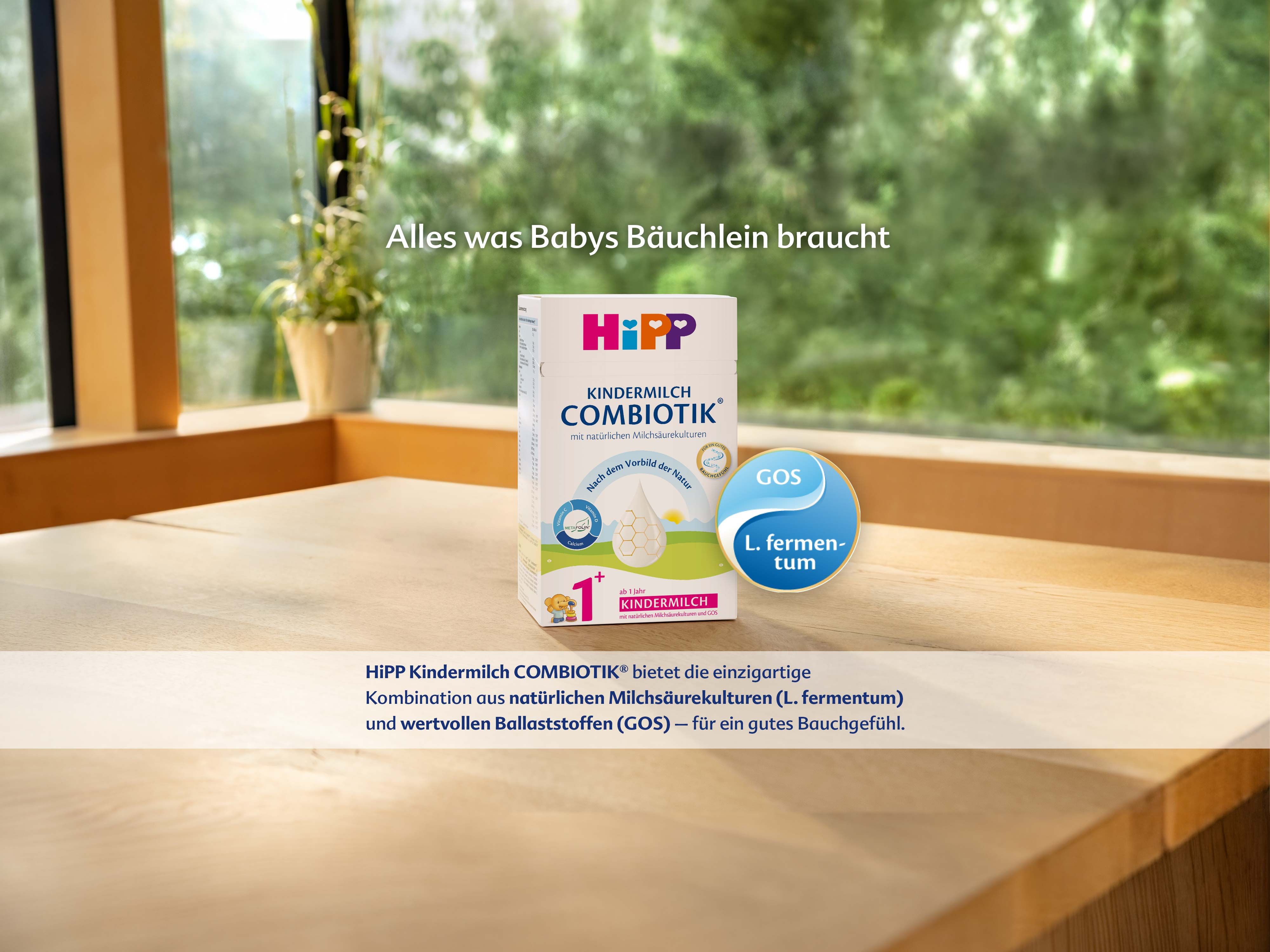 Packung HiPP Kindermilch COMBIOTIK auf Holztisch vor grünem Fensterhintergrund mit Text und blauen Kreisen 'GOS' und 'L. fermentum'