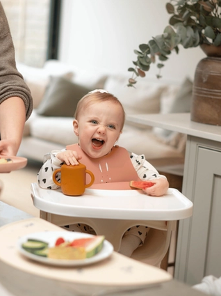 Toddler refusing food