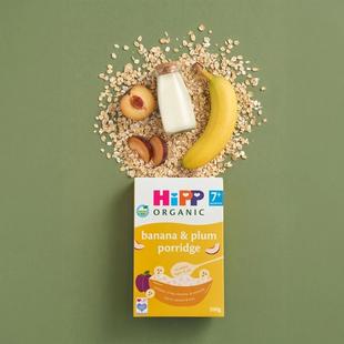 HiPP Organic banana & plum porridge box with oats, banana, plum slices and milk arranged on a green background