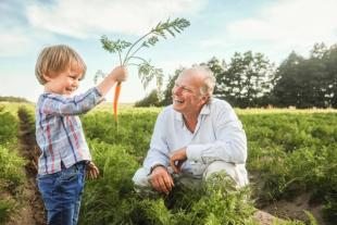 Stefan Hipp and son looking at a HiPP carrot in a field