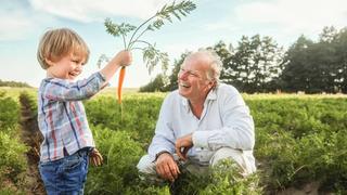 Stefan Hipp and son looking at a HiPP carrot in a field