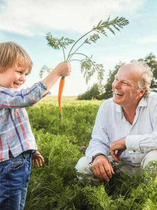 Stefan Hipp with his son harvesting carrots