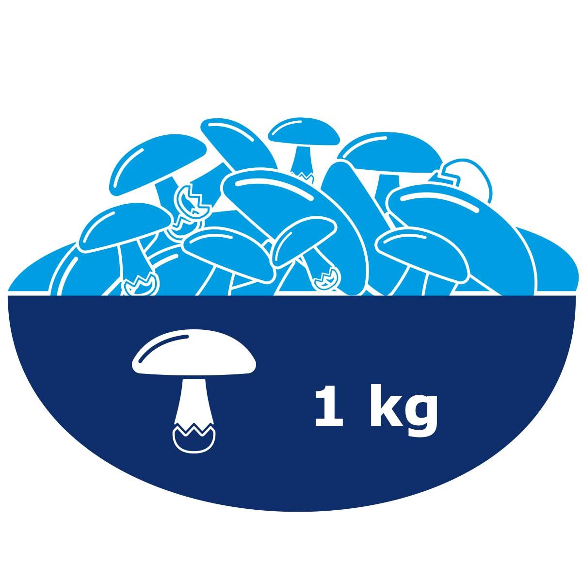 Grafik mit stilisierten Pilzen in einer Schale und der Aufschrift '1 kg' neben einem Pilzsymbol.