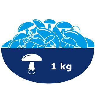 Grafik mit stilisierten Pilzen in einer Schale und der Aufschrift '1 kg' neben einem Pilzsymbol.