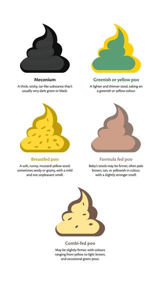 Illustrated baby poo guide showing meconium, greenish or yellow, breastfed, formula fed and combi-fed stool colours and textures.