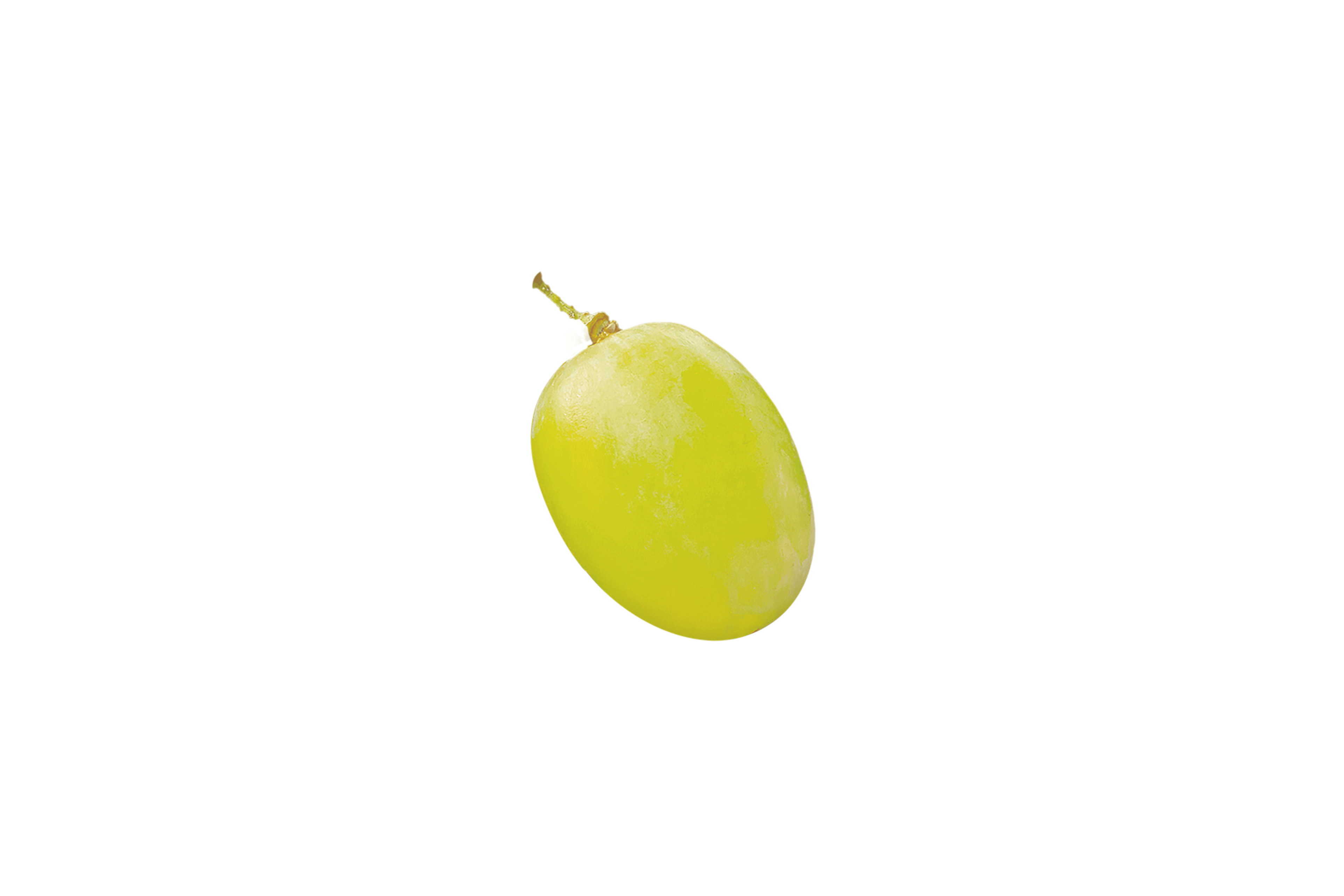 Eine grüne Weintraube mit einem Stiel.