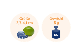 ine Limette neben einer blauen Waage mit den Maßen 3,7-4,1 cm bzw. 8 g.