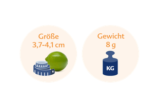 ine Limette neben einer blauen Waage mit den Maßen 3,7-4,1 cm bzw. 8 g.