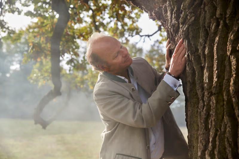 Stefan HiPP untersucht die Rinde eines Baumes