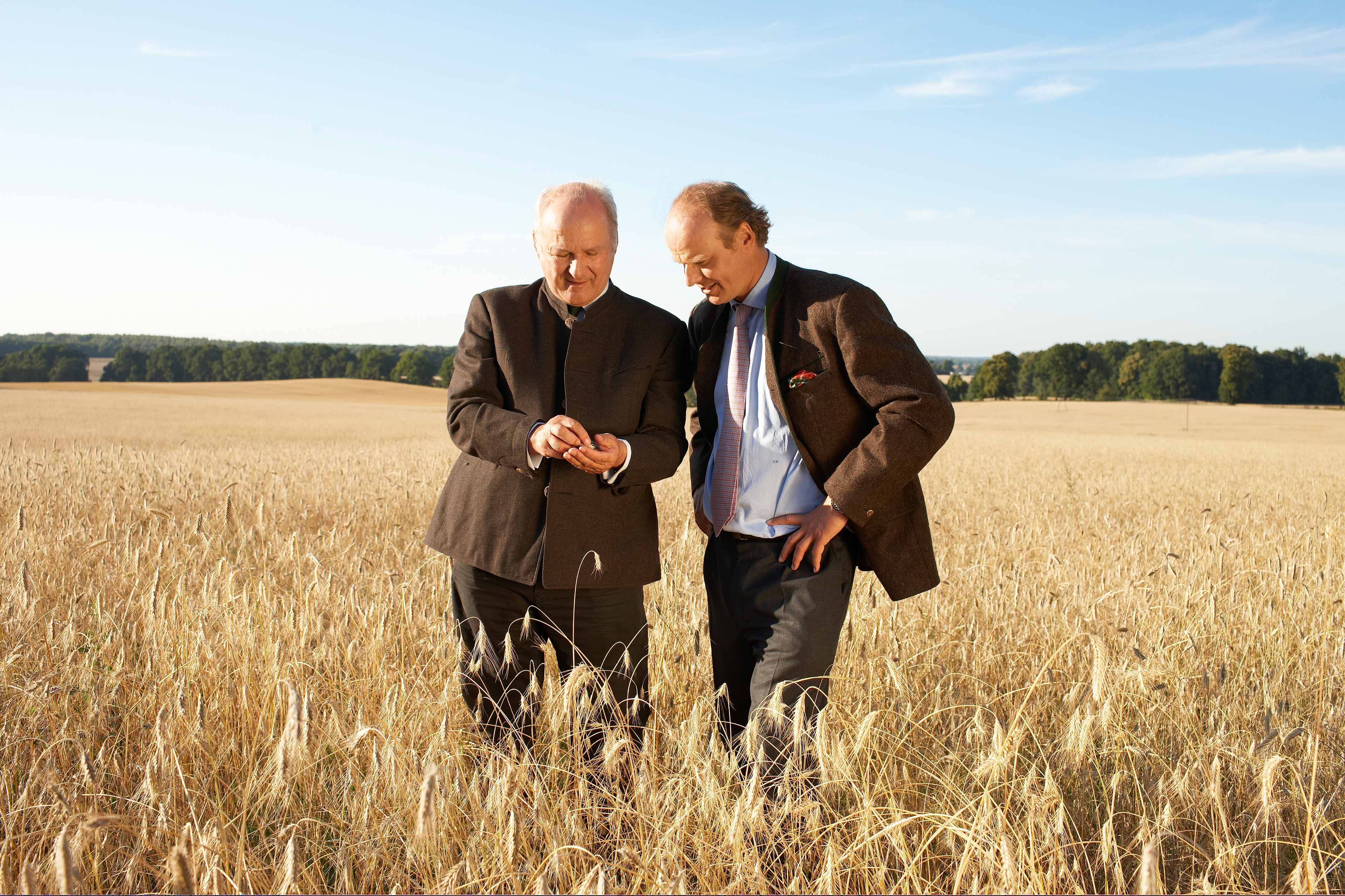 Zwei Männer im Anzug stehen in einem reifen Getreidefeld und begutachten Ähren vor weiter, naturbelassener Landschaft.