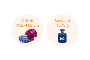 Ein Rotkohl mit einem Maßband daneben, daneben eine blaue Gewichtsanzeige mit der Aufschrift "KG".