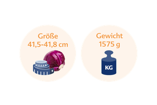 Ein Rotkohl mit einem Maßband daneben, daneben eine blaue Gewichtsanzeige mit der Aufschrift "KG".