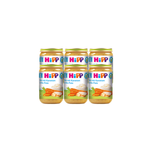 Sechserpack HiPP Bio-Gläschen Reis mit Karotten und Pute, 6×220g, auf schwarzem Hintergrund