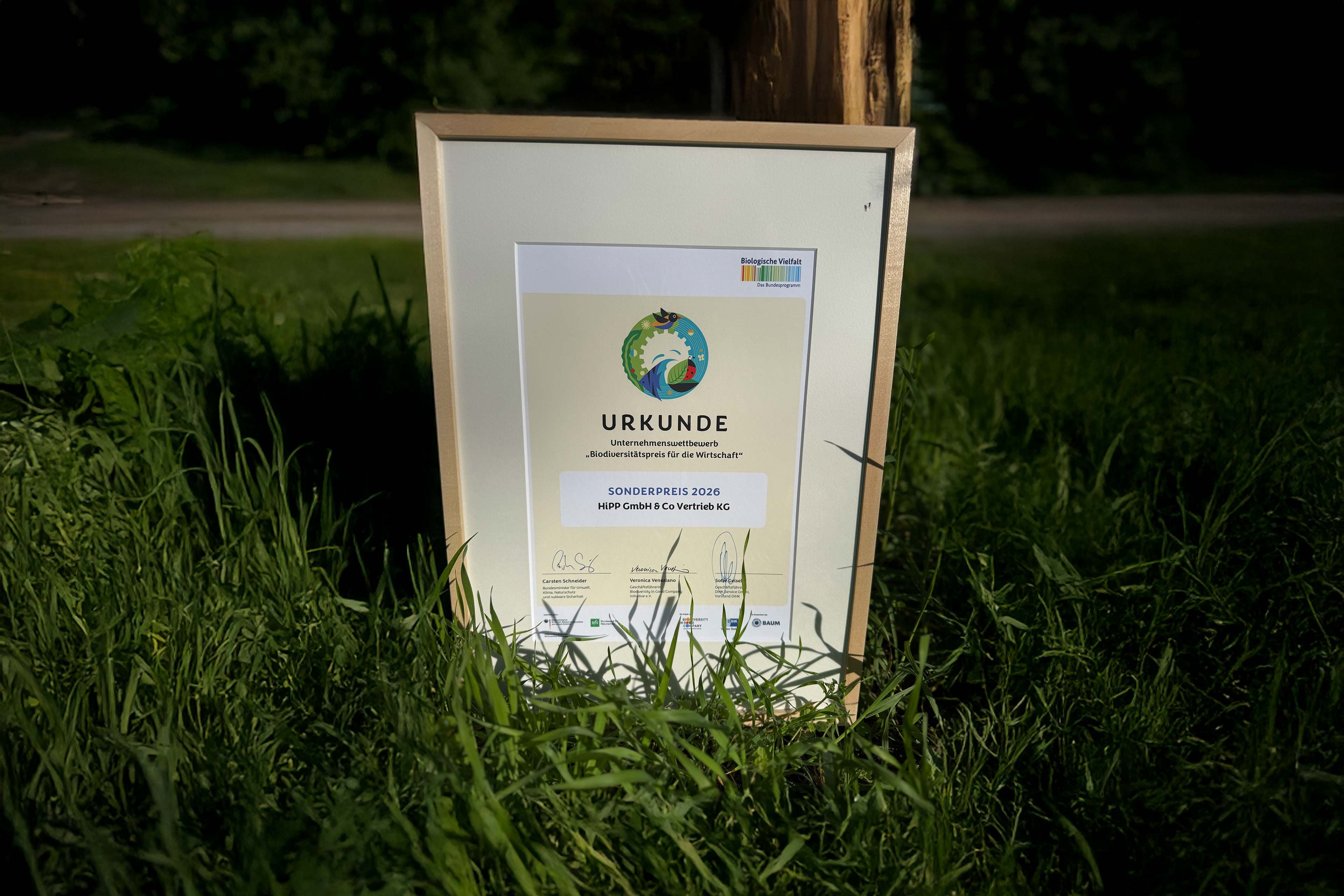 Urkunde mit farbigem Logo und Text steht im Gras vor einem Baumstamm