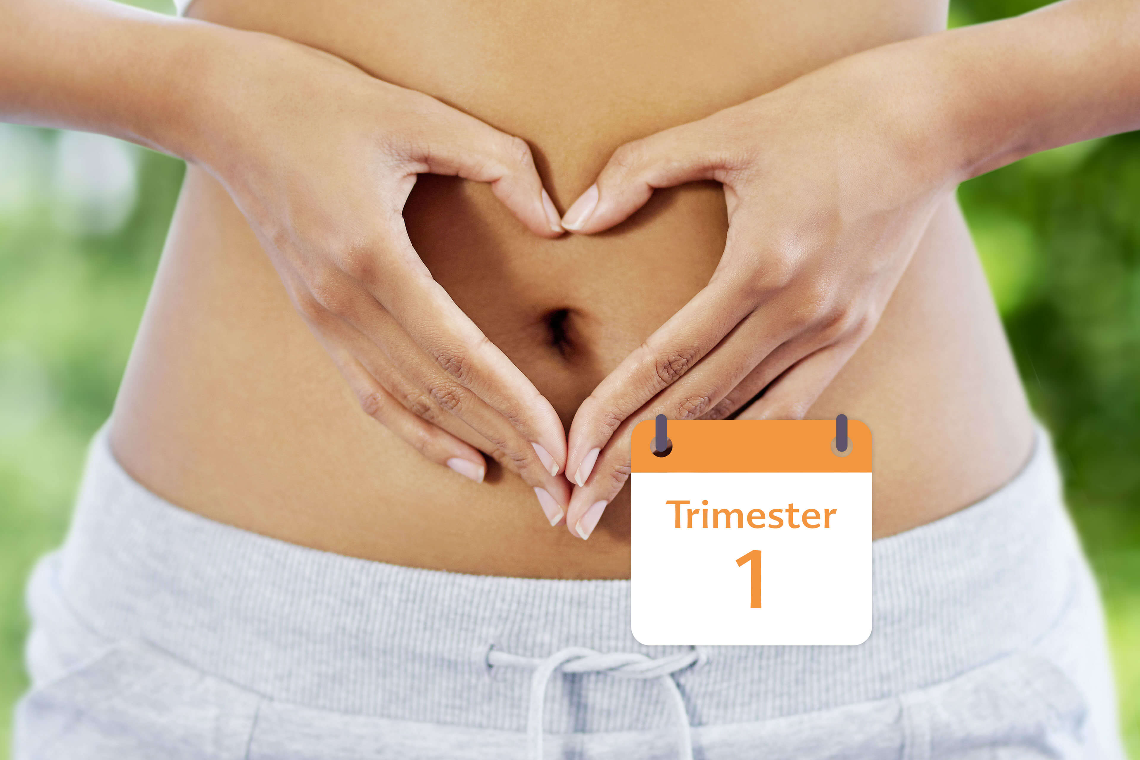 Eine Nahaufnahme des Mittelteils einer Person, wobei die Hände eine Herzform um den Bauchnabel bilden. Neben dem Bild ist ein Kalender zu sehen, auf dem das Datum "Trimester 1" steht.