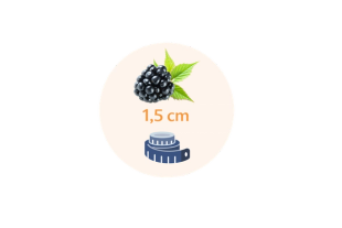 Eine Brombeere mit einem Maßband daneben, begleitet von der Aufschrift "Größe 1,5 cm".