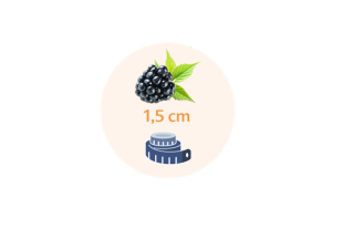 Eine Brombeere mit einem Maßband daneben, begleitet von der Aufschrift "Größe 1,5 cm".