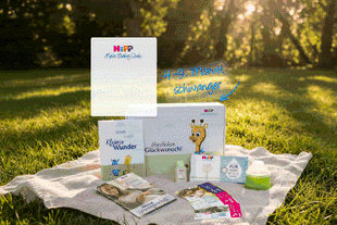 Offenes HiPP Babyclub-Paket mit Broschüren zur Schwangerschaft, Babyprodukten und lila Kreis mit Text „4.–9. Monat schwanger“