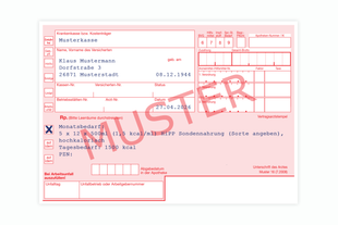 Ausgefülltes Rezeptmuster