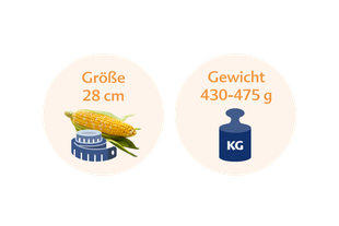 Ein Maiskolben neben einer blauen Waage, auf der die Höhe des Mais mit 28 cm und sein Gewicht mit 430-475 g angegeben ist.