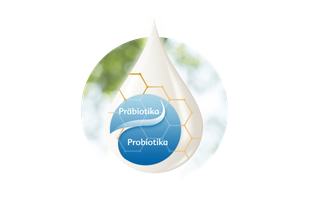 Stilisierter Tropfen Muttermilch mit blauer Präbiotika- und Probiotika-Grafik vor hellem, natürlichen Hintergrund