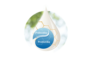 Stilisierter Tropfen Muttermilch mit blauer Präbiotika- und Probiotika-Grafik vor hellem, natürlichen Hintergrund