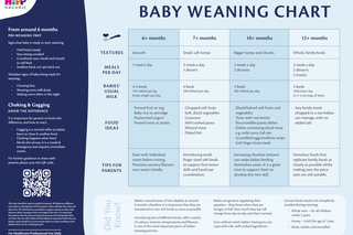 HiPP Organic HCP Baby Weaning Chart