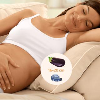 Eine Frau, die sich auf einer Couch ausruht, auf der eine Aubergine und ein Maßband mit den Maßen 16-20 cm abgebildet sind.