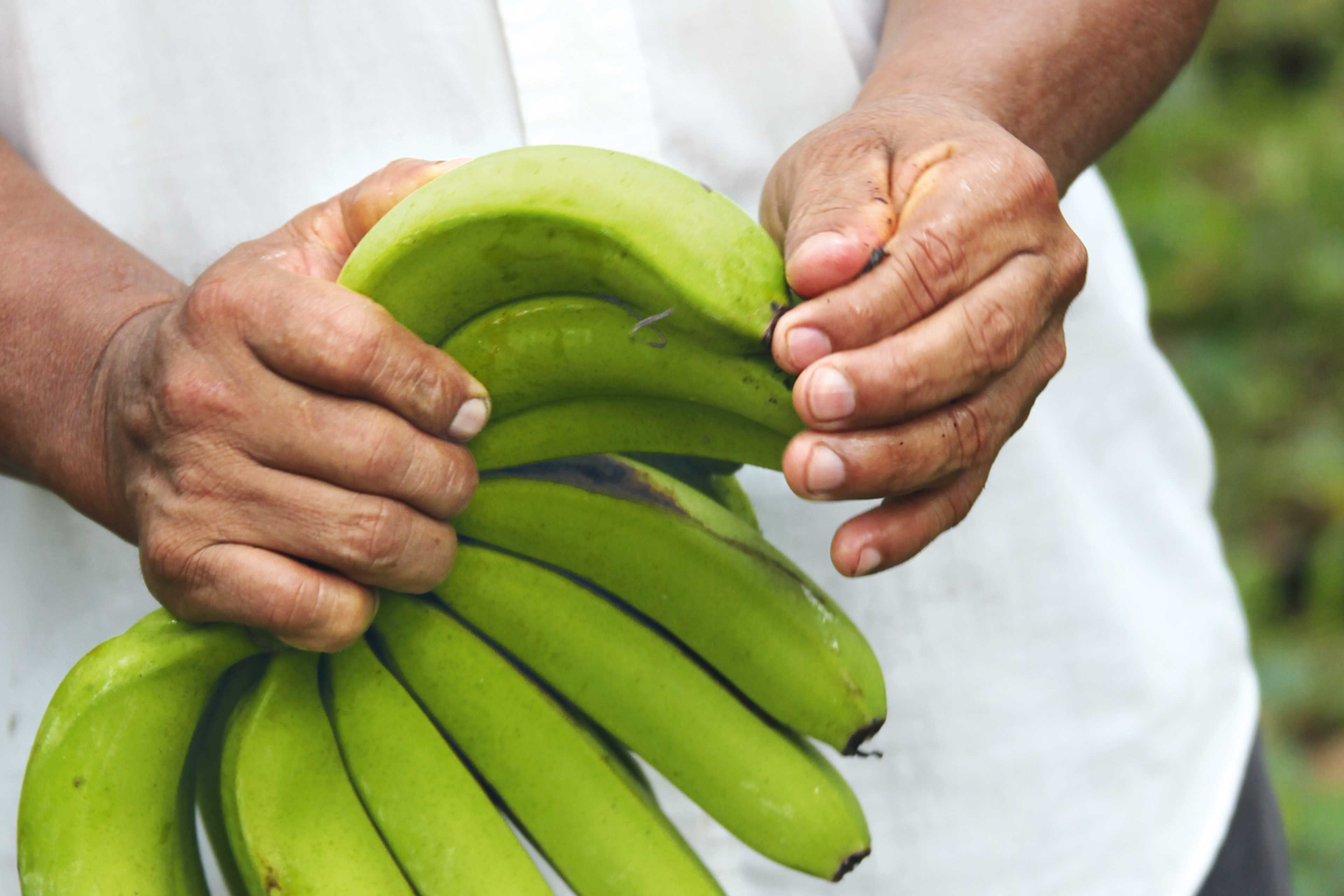 Bananen