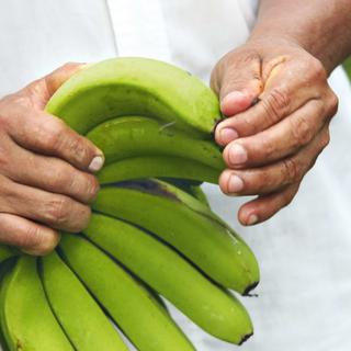 Bananen