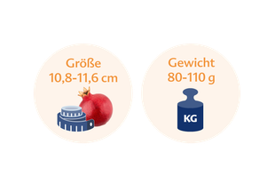 Ein Granatapfel mit einem Maßband daneben und einer Gewichtsanzeige mit der Aufschrift "KG".