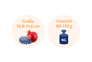 Ein Granatapfel mit einem Maßband daneben und einer Gewichtsanzeige mit der Aufschrift "KG".