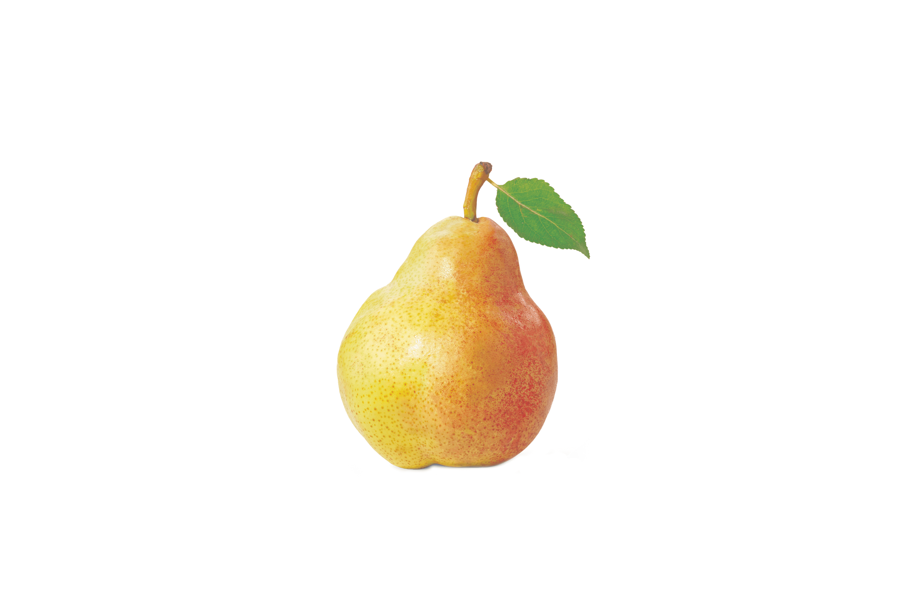 Eine reife Birne, an deren Stiel ein grünes Blatt befestigt ist.