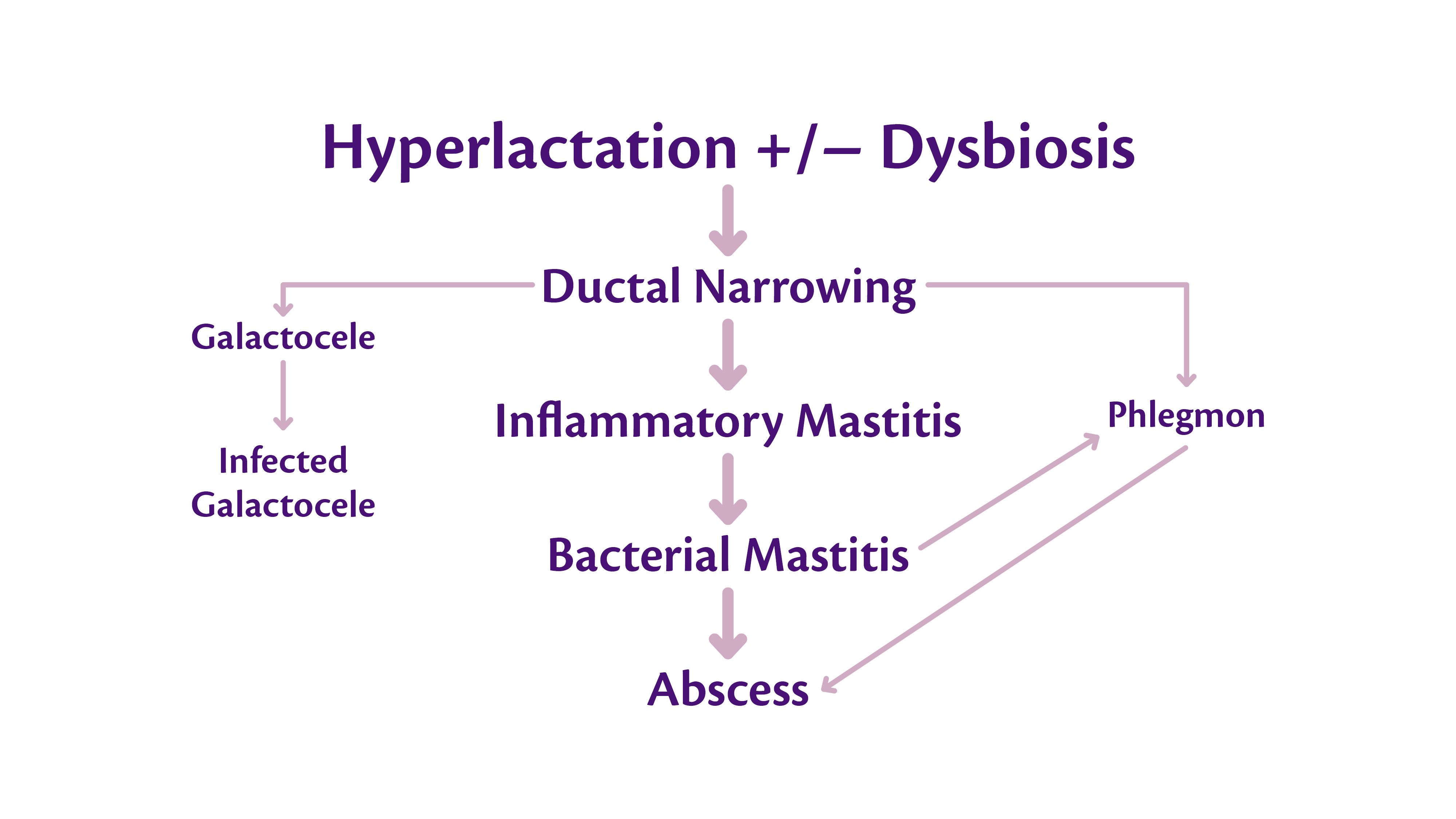 HiPP's version of figure from Mitchell et al., 2022