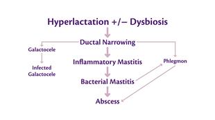 HiPP's version of figure from Mitchell et al., 2022