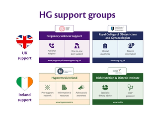 HiPP Organic infographic listing Hyperemesis Gravidarum (HG) support groups in Ireland and the UK. Includes Hyperemesis Ireland, Irish Nutrition & Dietetic Institute, Pregnancy Sickness Support, and Royal College of Obstetricians and Gynaecologists. Highlights services like peer support, dietary advice, helplines, and clinical guidelines for managing HG during pregnancy