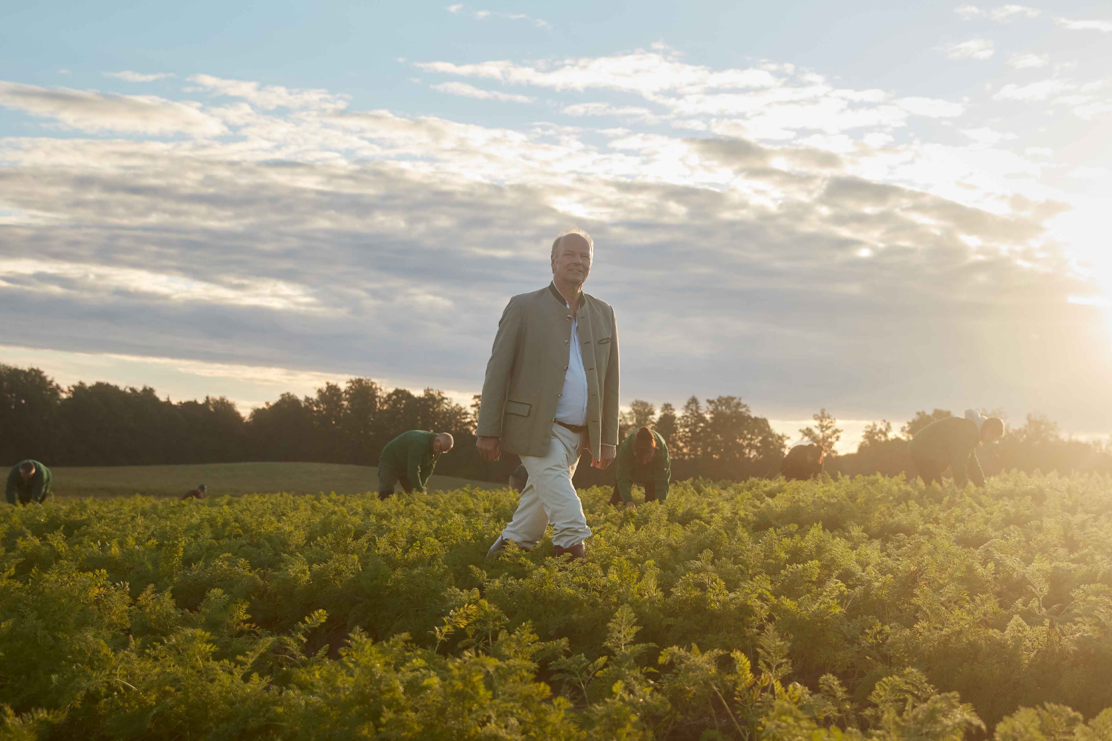 Bio-Landwirt geht bei Sonnenaufgang durch ein grünes Feld, im Hintergrund ernten Mitarbeitende schonend das Gemüse.