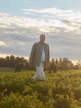 Bio-Landwirt geht bei Sonnenaufgang durch ein grünes Feld, im Hintergrund ernten Mitarbeitende schonend das Gemüse.