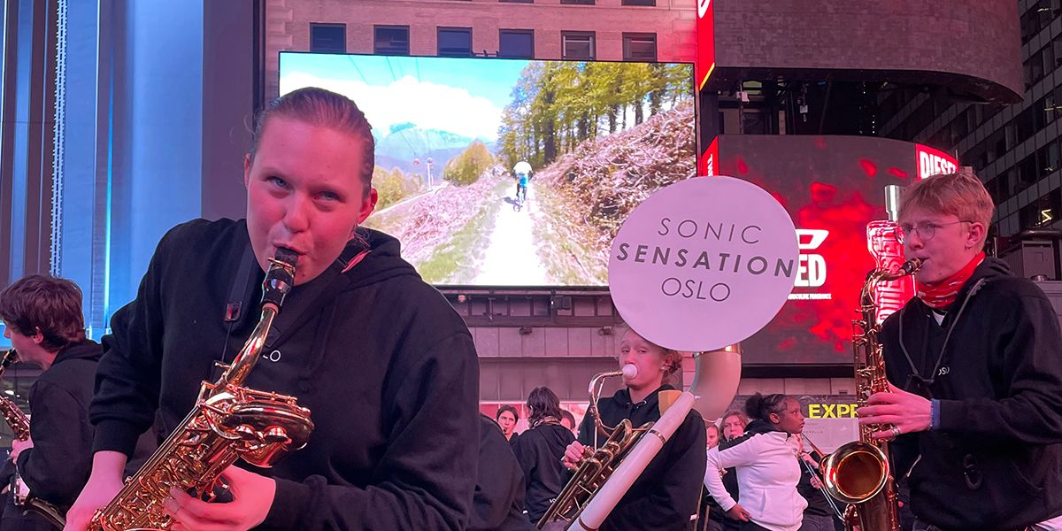 Picture of Sonic Sensation