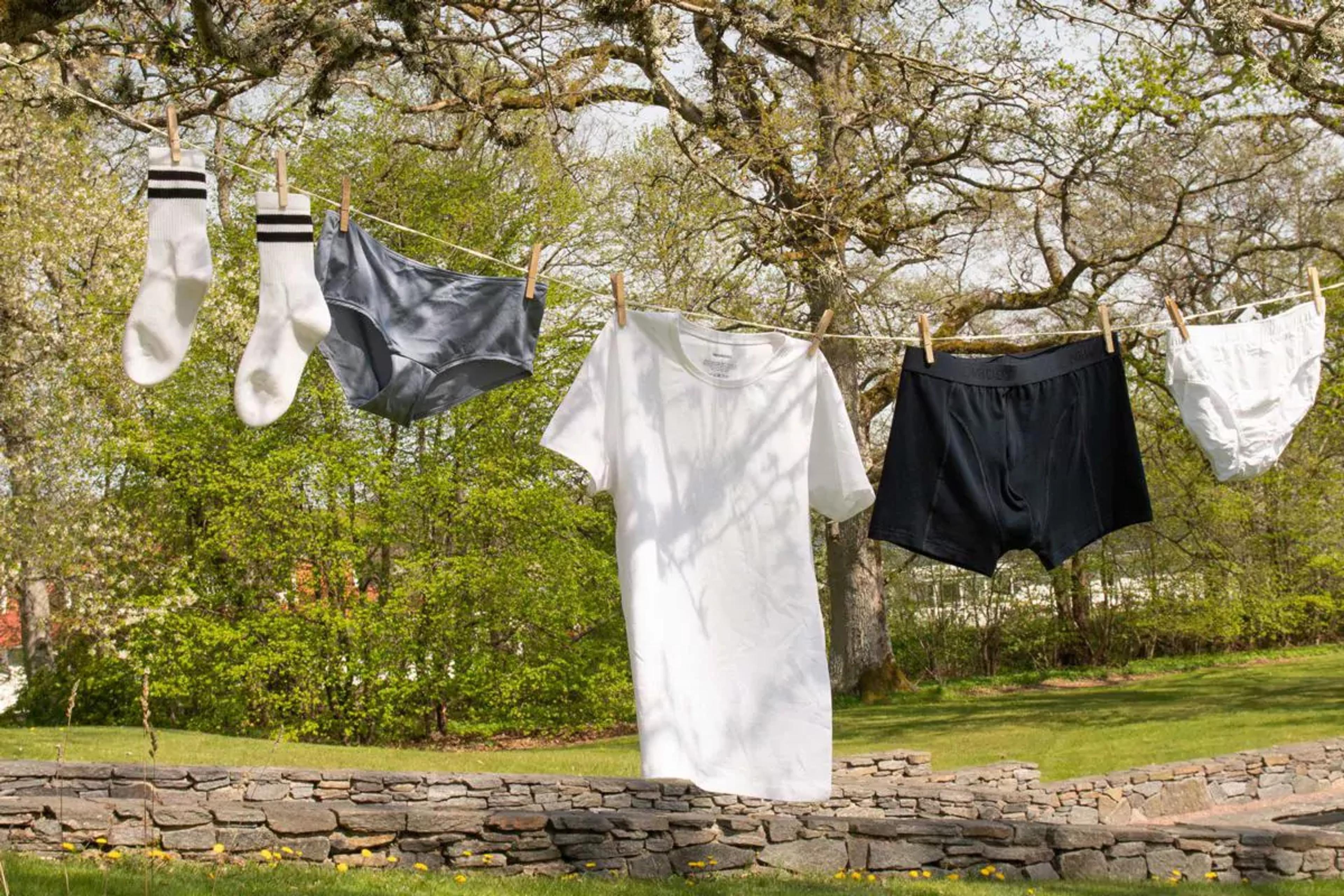 Två vita strumpor med svarta ränder, ett par mörkgrå trosor, en vit t-shirt, ett par svarta boxershorts och ett par vita trosor hänger på en tvättlina utomhus. Bakgrunden visar gröna träd
