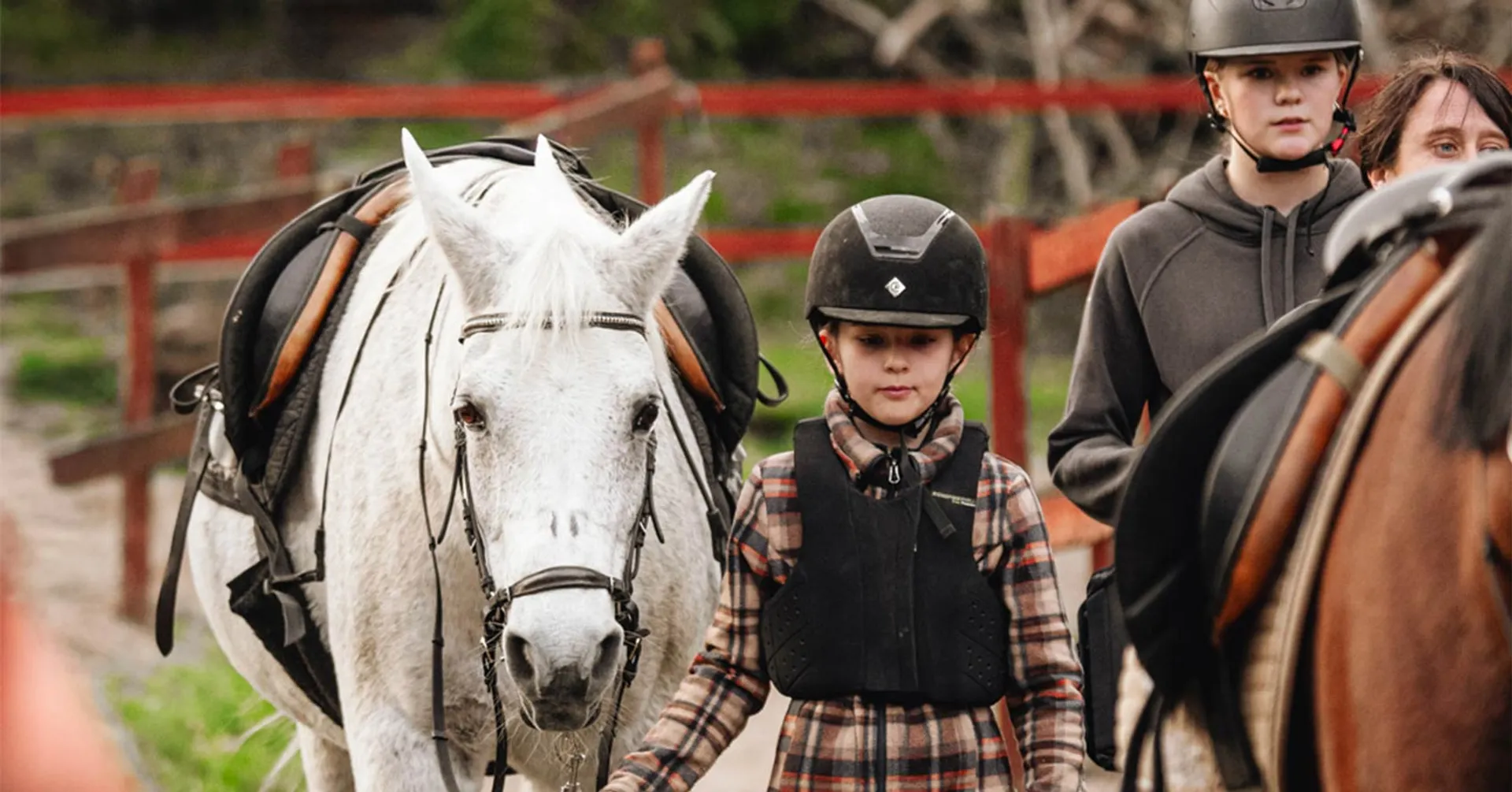 En flicka leder en sadlad häst på väg till ridlektion vid ridskolan.
