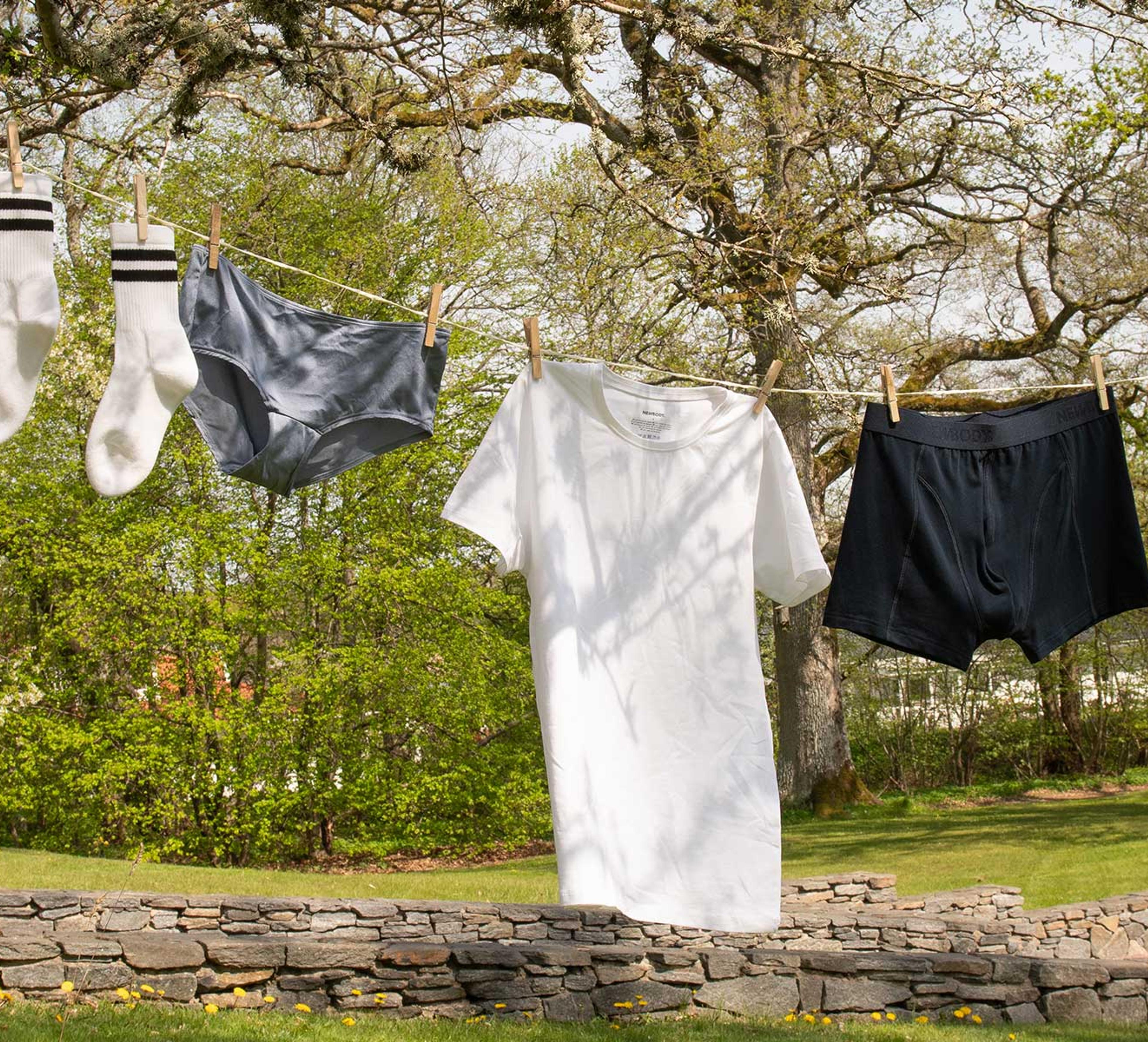 Ett par vita strumpor med svarta ränder, grå trosor, en vit t-shirt, svarta boxershorts och vita kalsonger hänger på en tvättlina utomhus. Grönskande träd och en låg stenmur syns i