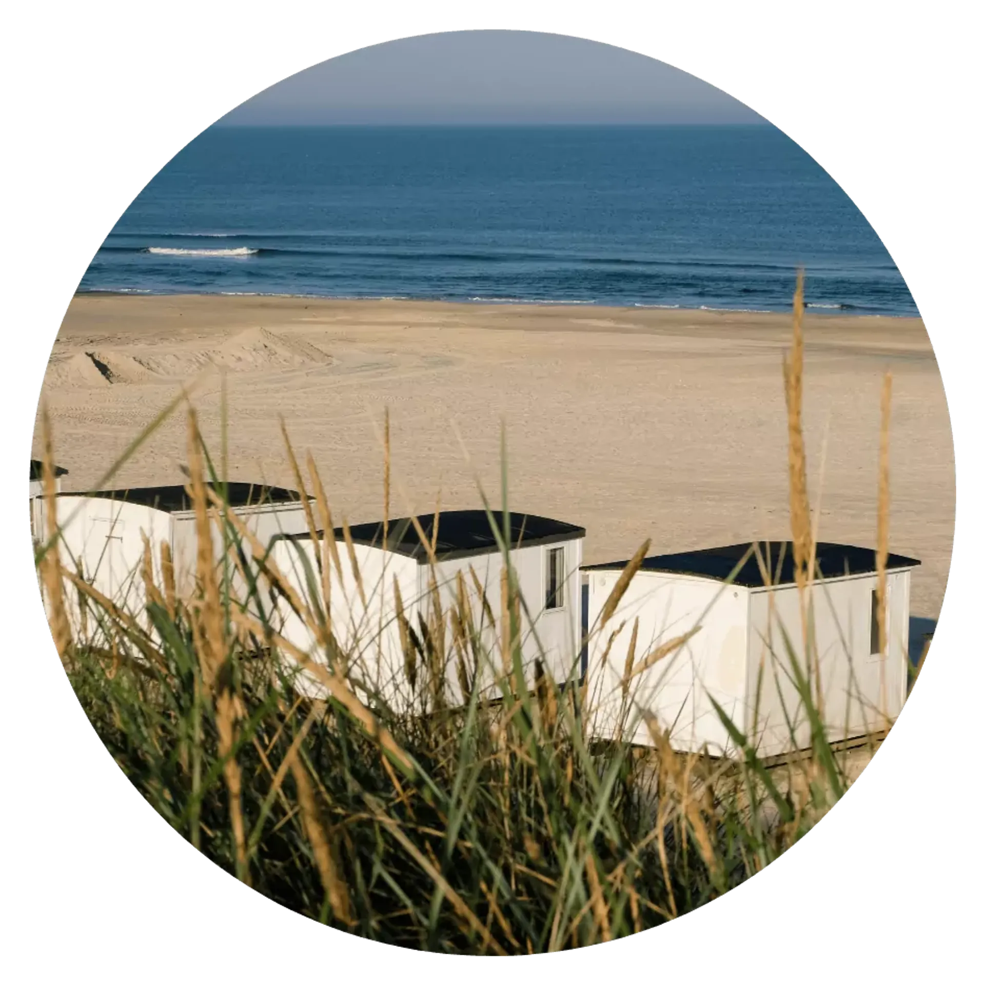 Vita strandbodar med svarta tak står på en vid sandstrand vid det lugna blå havet. Grässtrån syns i förgrunden, som fångar sommarens naturliga skiftningar.