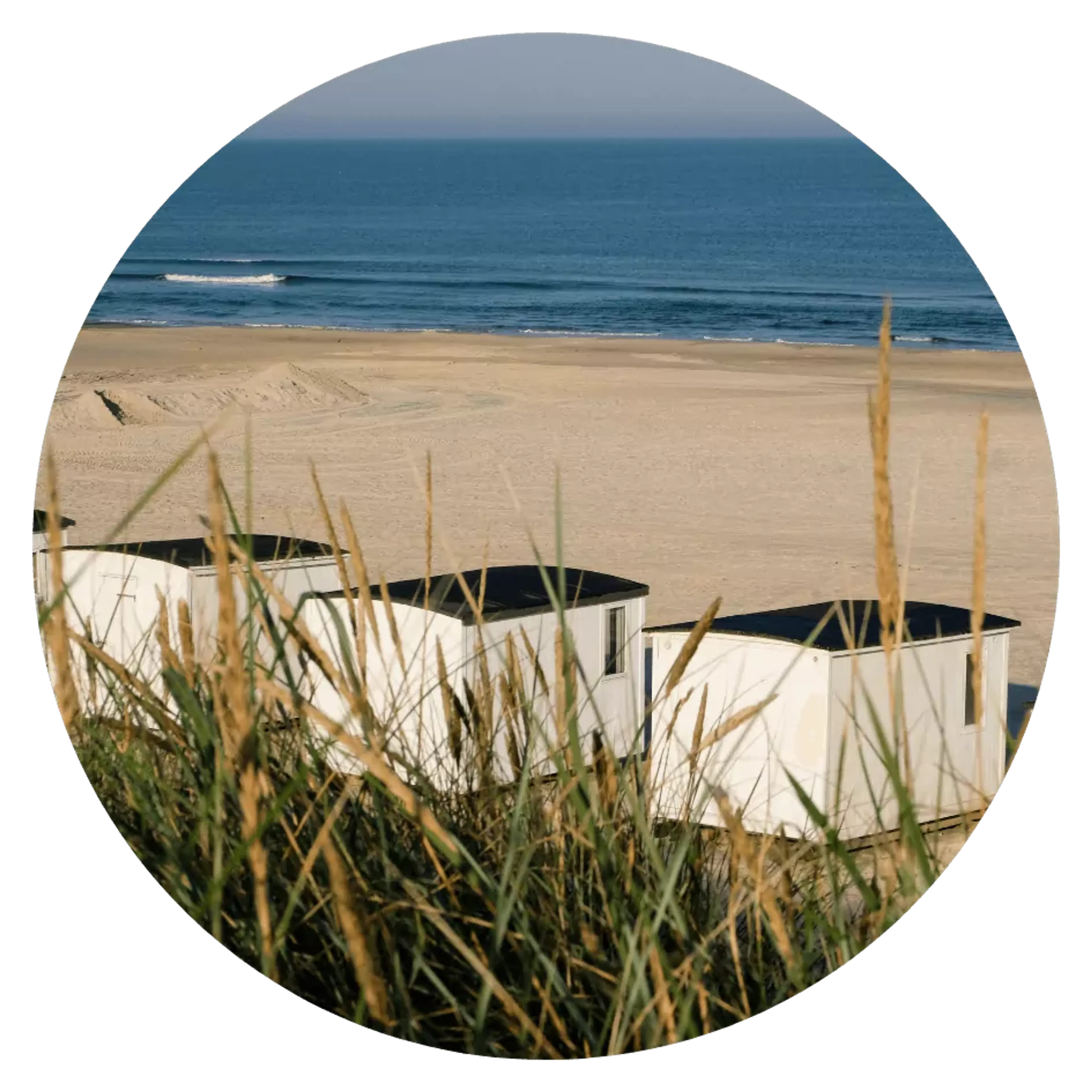 Vita strandbodar med svarta tak står på en vid sandstrand vid det lugna blå havet. Grässtrån syns i förgrunden, som fångar sommarens naturliga skiftningar.