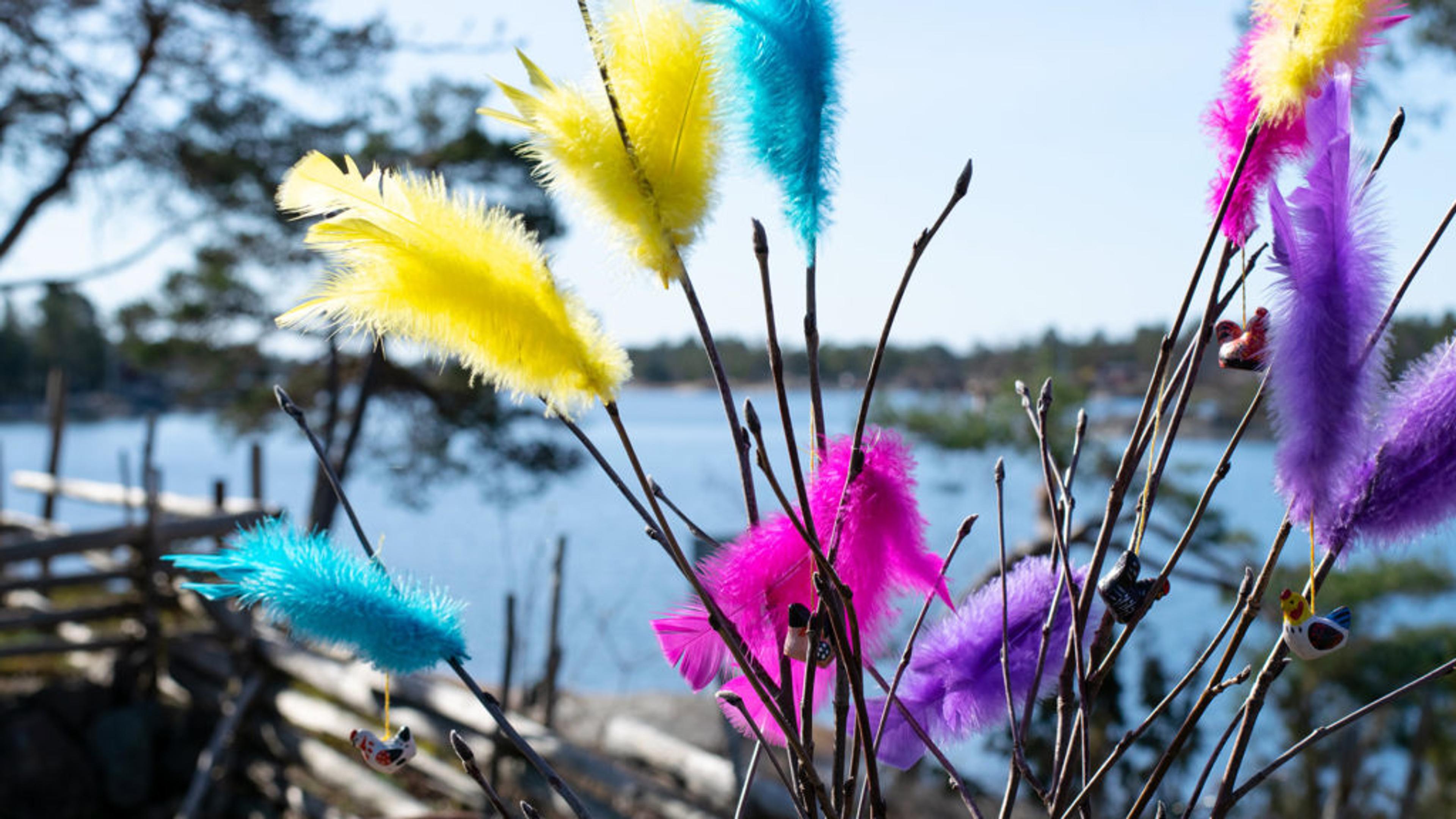 Färgglada påskfjädrar i gult, rosa, blått och lila är fastsatta på kvistar mot en sjö och träd i bakgrunden. En enkel och vårig dekoration med klassisk påskstil.