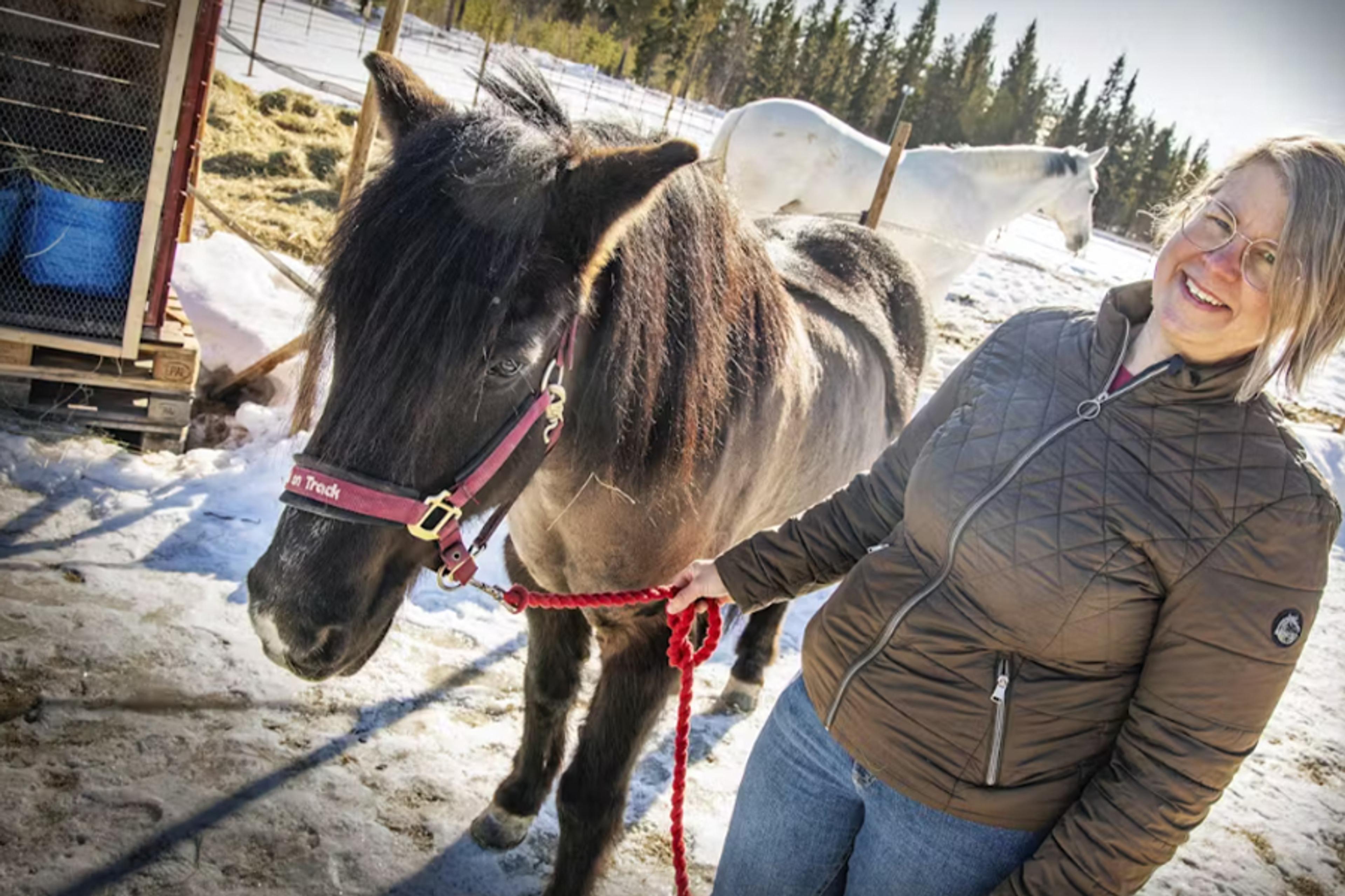 En kvinna i vinterjacka håller i tömmarna på en svart häst med röd grimma, medan en vit häst syns i bakgrunden på en solig vinterhage.