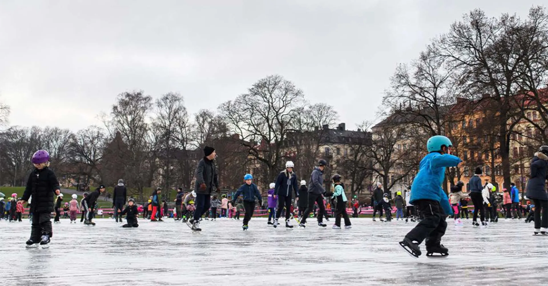 Många människor i olika åldrar åker skridskor tillsammans på en stor, isig yta i en park med träd och byggnader runtom. Vissa bär hjälm och vinterkläder för att hålla sig varma.