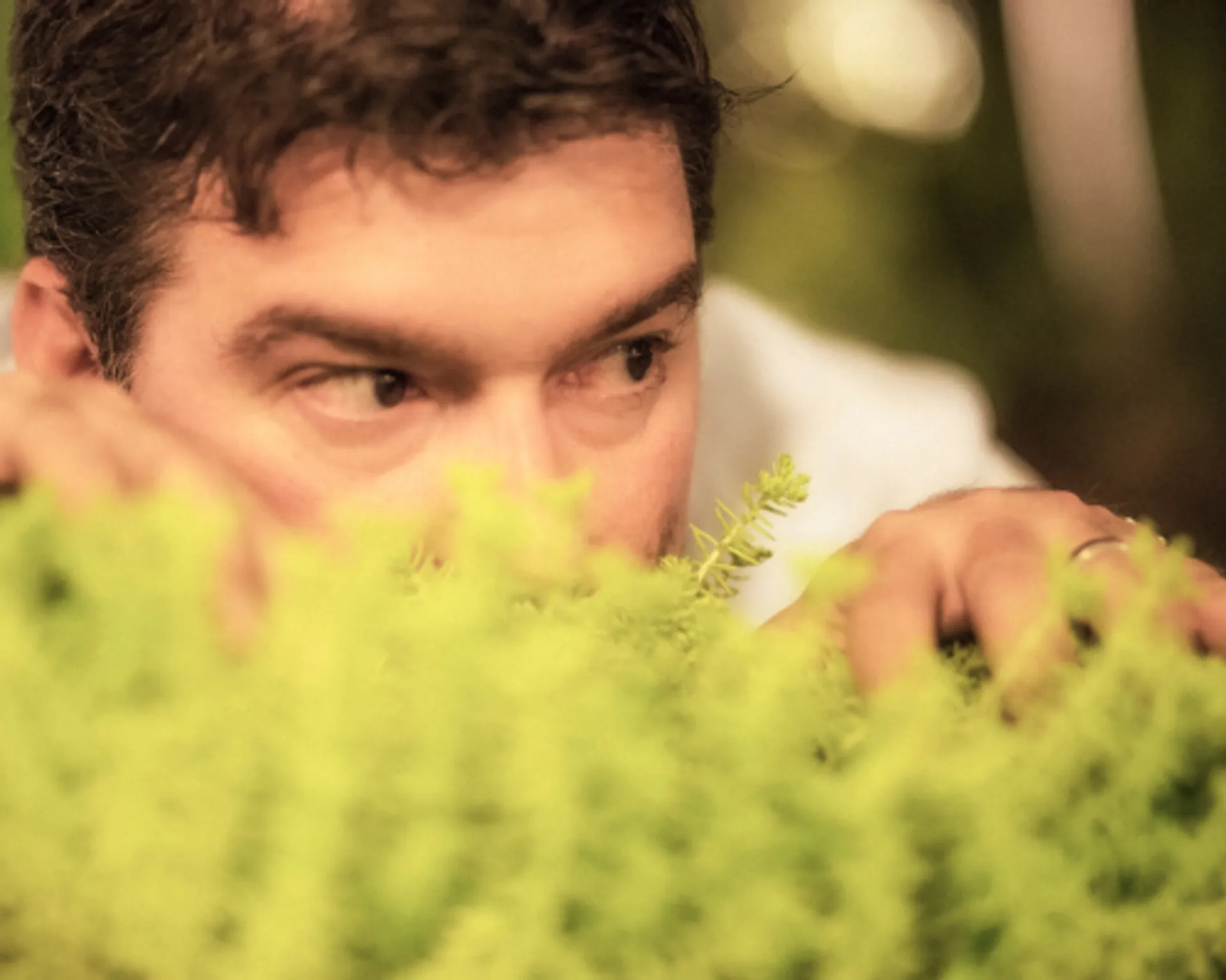 En man tittar försiktigt över en grön buske med fokus i blicken. Omgivningen är mjukt ljussatt och ger en känsla av stillhet.