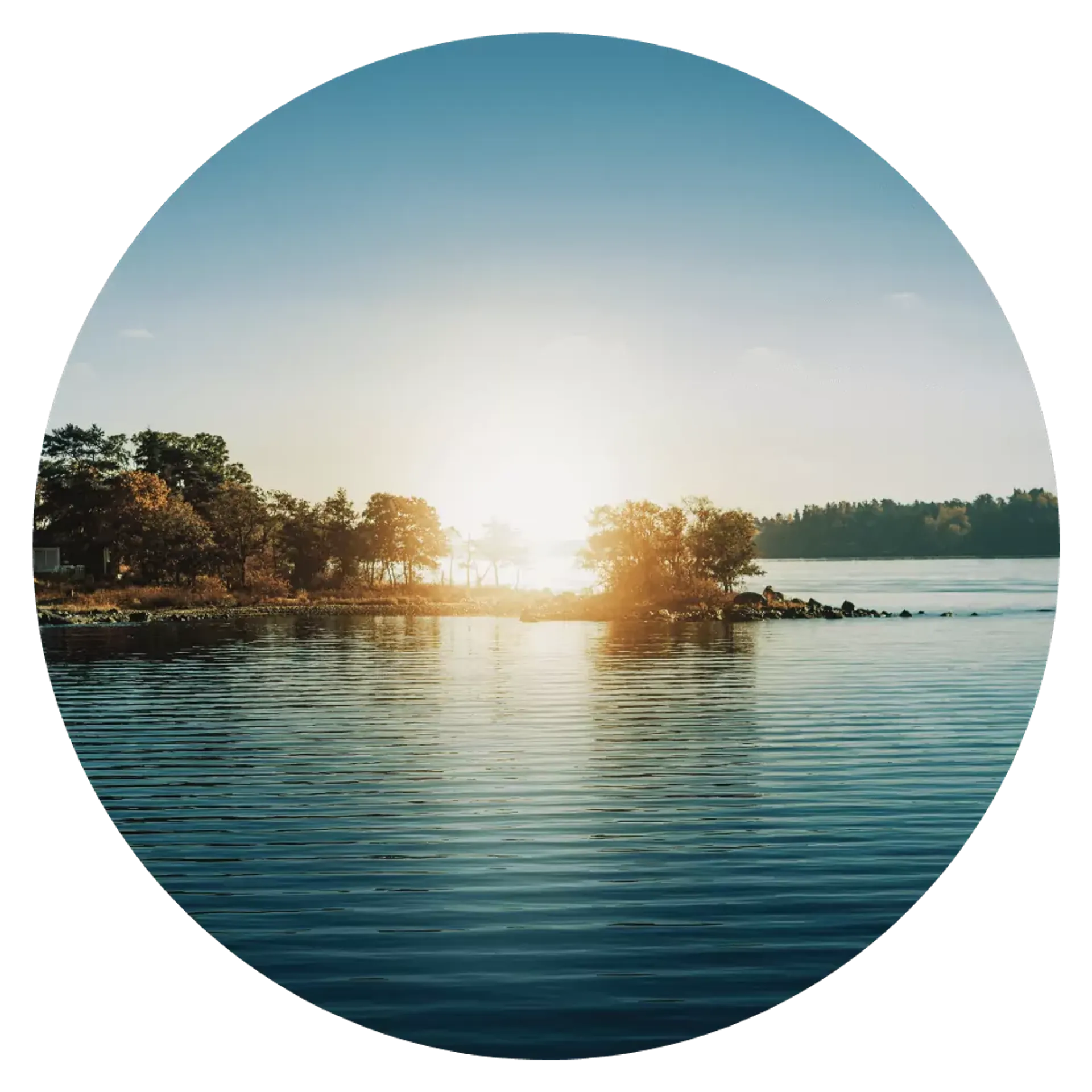 En stilla skärgårdsö med träd omgiven av lugnt vatten i solnedgångens ljus. Klar himmel och mjuka vågor skapar en rofylld naturvy.