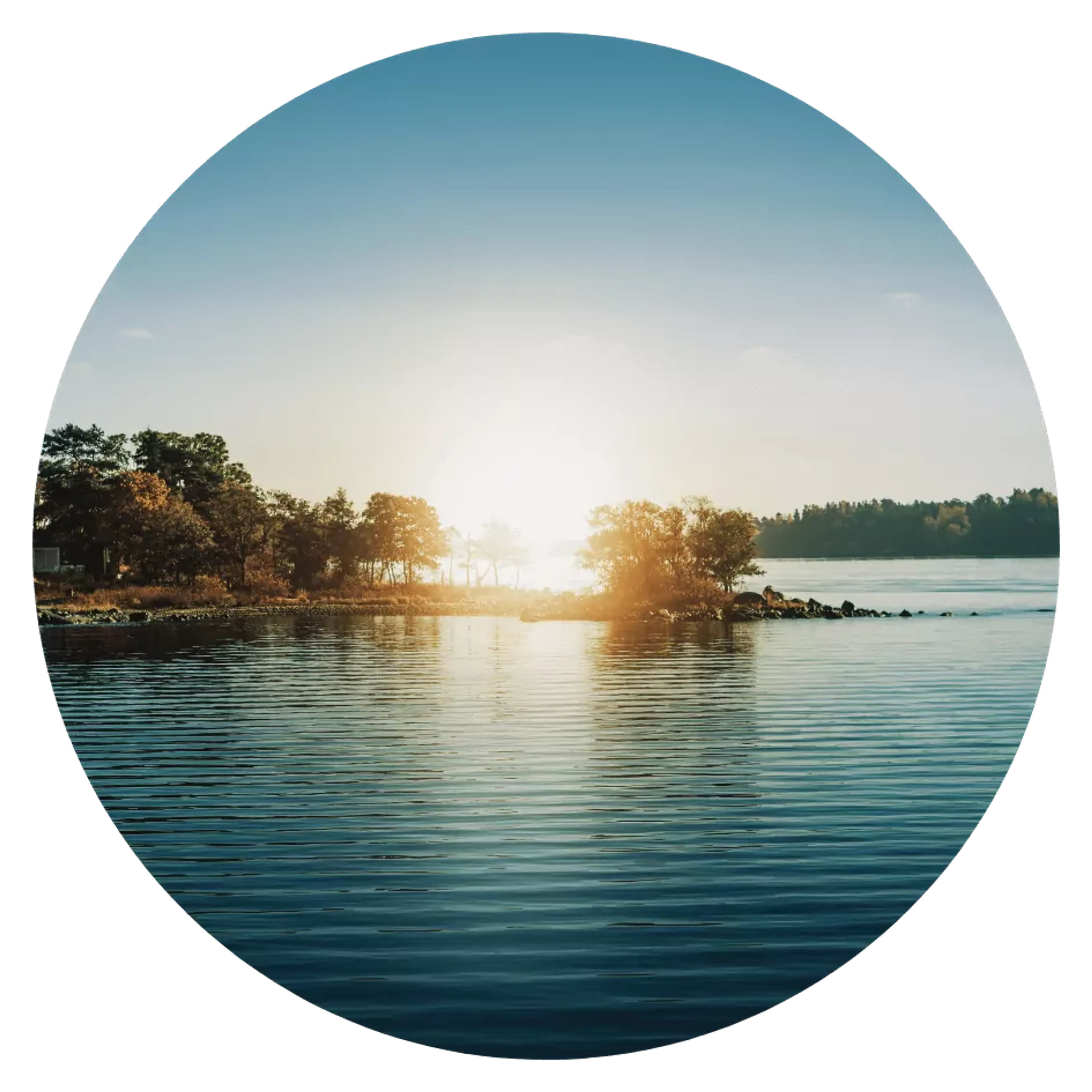 En stilla skärgårdsö med träd omgiven av lugnt vatten i solnedgångens ljus. Klar himmel och mjuka vågor skapar en rofylld naturvy.